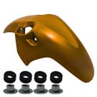 Kit Paralama Dianteiro Honda Cb 300 Cb300 2009 A 2015 Borracha Fixação Coxin Ilho Ferro Cores