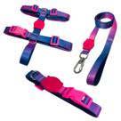 Kit Passeio Peitoral H Ajustável Coleira e Guia Resistente Para Cães Cachorros Pets Todos os Tamanhos PP P M G