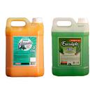 Kit Pasta Pinho Aqualiv E Essência Eucalipto Concentrado 5L