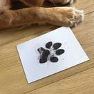 Kit Pegada Patinha Pet com Tinta Não Tóxica para Cães e Gatos