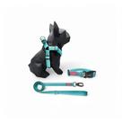 Kit Peitoral Americano para cachorros com Coleira e Guia Maldivas