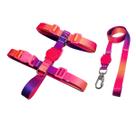 Kit Peitoral H Ajustável e Guia Reforçada para Cães Cachorros Pets Roxo e Laranja