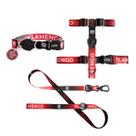 Kit Peitoral H - Coleira Com Tag - Guia Para Cães Flamengo G