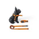 Kit Peitoral Y Antipuxão para cachorros com Coleira e Guia Gold