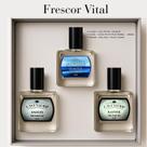 Kit Perfumes Masculinos LAveniérr Mini Collection Frescor Vital 3x25ml Aromáticos Aquáticos