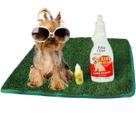 Kit Pet Clean Adestrador Xixi Stop 500ML Mais Pipi Certo 30ML Mais Tapete Higênico Para Cães e Gatos