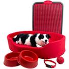 Kit Pet Grande Cama Europa Sanitário Comedouro Coleira Bola