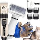 Kit Pet Shop Profissional Luva, Tosa e Secador Completo 110V