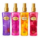 Kit Phytoderm Deo Colônia: Intense Love, Sexy Girl, Pure Secret e Vanilla Kiss 200ml