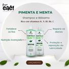 Kit pimenta e menta 12 nutri-óleos - 20 segundos condiciona 20 minutos hidrata thyrre