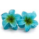 Kit Piranha Flor 3,5cm x 3,5cm Com 2 Unidades C50415 Kit Piranha Flor 3,5cm x 3,5cm Com 2 Unidades C50415