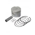 Kit Pistão com Anéis - Compatível com - XLX 250 - Medida STD - KTO