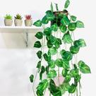 Kit Planta Trepadeira Artificial Jibóia Com Vaso Trançado