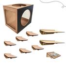 Kit Playground Para Gatos Frente Circulo