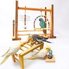 Kit Playground Parquinho Rústico Médio M Reforçado para Aves Calopsita Ring Neck Periquito e Agapornis