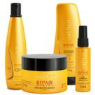 Kit Pos Quimica Aneethun Repair System Linha Completa