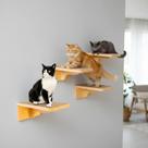 Kit Prateleira Para Gatos Tamanho M 4peças com Carpete