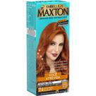 Kit Prático Maxton Louro Médio Acobreado 7.4 Kit Prático Maxton Louro Médio Acobreado 7.4