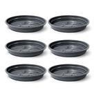 Kit Prato para Vaso 3cm Nutriplan - 6 Unidades Kit Prato para Vaso 3cm Nutriplan - 6 Unidades