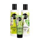 Kit Premium Reconstrução Cabelo Danificado Organic Shop Kit Premium Reconstrução Cabelo Danificado Organic Shop