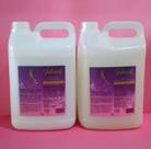 Kit Profissional Shampoo e Condicionador De Lavatório Intensity Hair
