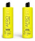 Kit Progressiva Afro Coffee Rofer Kit 2x1 Lt D.Carota Cosméticos
