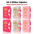 KIT PROMOCIONAL - 6 Bíblia Sagrada Letra Gigante - Botão - Caneta Revista e Corrigida