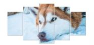 Kit Quadros Decoração Cão Husky Siberiano Na Neve"
