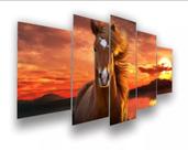 Kit Quadros Decoração Cavalo Entropy"