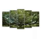 Kit Quadros Decoração Floresta" Kit Quadros Decoração Floresta"