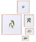 Kit quadros decorativos em mdf - 5pcs tema botanico