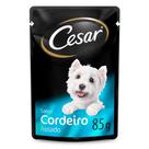 Kit Ração Úmida Cortes Selecionados Cordeiro Assado ao Molho Para Cães Adultos 20 Unidades Cesar Sachê