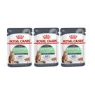 KIT Ração Úmida Sachê Royal Canin Gatos Digestive Patê 3x85g