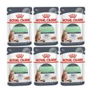 KIT Ração Úmida Sachê Royal Canin Gatos Digestive Patê 6X85g
