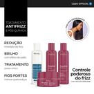 Kit Reconstrutor Neutralizante Equalize, Select One 300ml Kit Reconstrutor Neutralizante Equalize, Select One 300ml