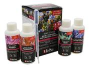 Kit Red Sea Coral Colors ABCD 100ml
