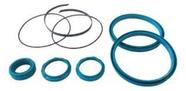 Kit reparo cilindro iso 100 werk-schott