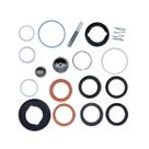 Kit Reparo da Bomba Xtreme 290cc 25D238 Original Graco