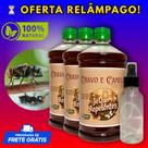 KIT REPELENTE CONCENTRADO DE CRAVO E CANELA 3x1L + SPRAY
