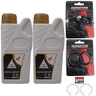 Kit Retentor Bengala, Guarda Pó, Trava, Oleo Twister Cb 300