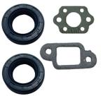 Kit Retentor e Juntas Motosserra ST 025/210/250/170/180 02 UN