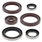 Kit Retentor Motor Power Mx Ktm 450/500 Husqvarna 450/501 Kit Retentor Motor Power Mx Ktm 450/500 Husqvarna 450/501