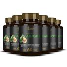 Kit Revenda Oleo de Abacate Persea Americana 6x60 cápsulas líquidas softgels - Alisson Nutrition