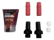 Kit Revisão Pintura Eletrostatica Cetec