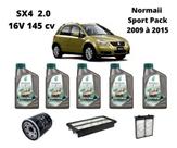 Kit revisao troca de oleo sx4 2.0 16v 2009 a 2015 selenia
