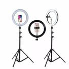 Kit Ring Light 10 Polegadas Tripé Youtuber Selfie Pro