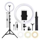 Kit Ring Light 12 Pol 31cm com Tripé e Controle de Luz Kit Ring Light 12 Pol 31cm com Tripé e Controle de Luz