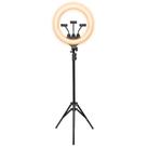 Kit Ring Light LED 46cm com Tripé e Suporte Para 3 Celulares, 3 Tipos de Iluminação, USB - RL46 Kit Ring Light LED 46cm com Tripé e Suporte Para 3 Celulares, 3 Tipos de Iluminação, USB - RL46