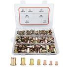 Kit Rivet Nut FOREVTL Metric, sortimento de 220 unidades com caixa de armazenamento
