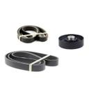 Kit Rolamento Poly V Com Correia Alternador e Direção JAC T8
